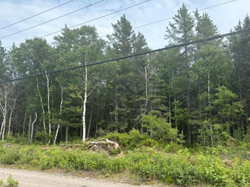 Lot - Route 138, Les Bergeronnes, QC 