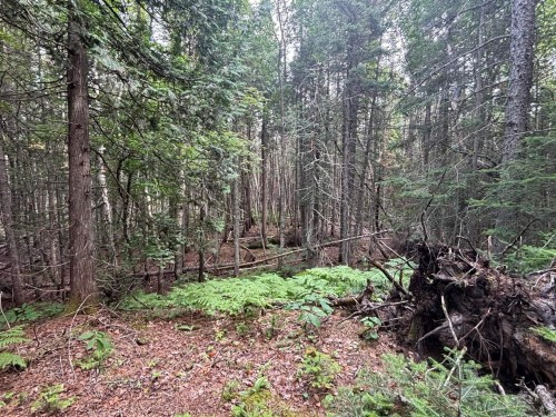 Lot - Route 138, Les Bergeronnes, QC 