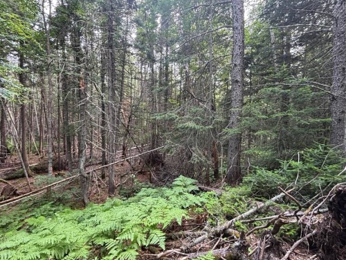 Lot - Route 138, Les Bergeronnes, QC 