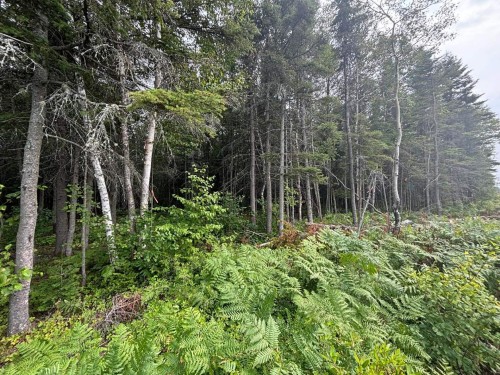 Lot - Route 138, Les Bergeronnes, QC 