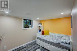 Lower level 3rd  bedroom - 
