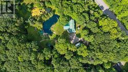 AERIAL VIEW OF THE HOUSE & POND - 