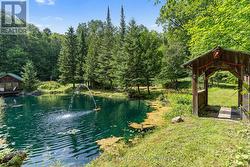 LARGE SPRING FED POND AND GAZEBO BRIDGE - 