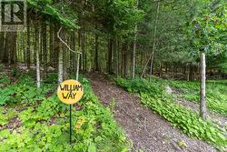 TRAILS - 