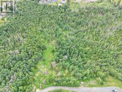 11 North Side Road Unit#Lot A Holyrood, NL A0A 2R0