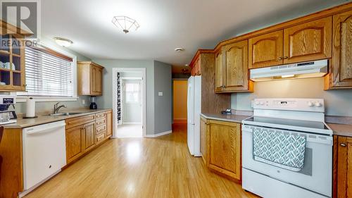 APT. large kitchen - 28 Pinware Crescent, Mount Pearl, NL - Indoor Photo Showing Kitchen