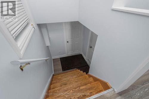 LOWER - 343 RANEE AVENUE , Toronto, Ontario M6A 1N9 4