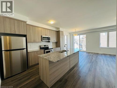 219 Histand Trail, Kitchener, ON - Indoor Photo Showing Kitchen With Stainless Steel Kitchen With Double Sink With Upgraded Kitchen