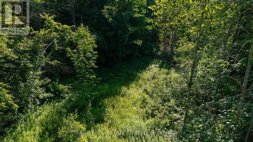 7632 County 9 Road, Clearview, ON - Outdoor