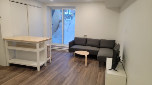 Living Room - 1A-7433 Rue Cartier, Montréal (Villeray/Saint-Michel/Parc-Extension), QC - Indoor