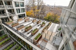 Jardin - 
