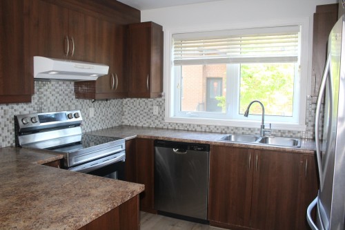 Cuisine - 241 Rue De Cherbourg, Candiac, QC - Indoor Photo Showing Kitchen With Double Sink