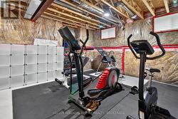 Basement holds a gym space - 