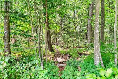 365 Haskins Road, North Grenville, ON - Outdoor