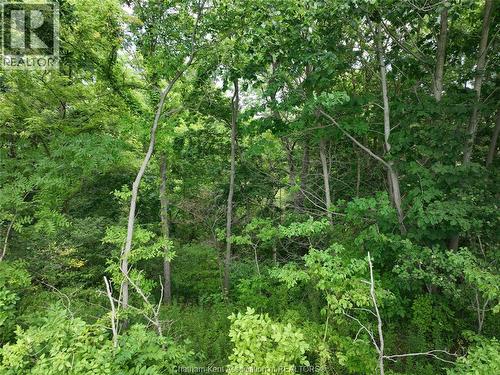 5355 Carriage Road, Middlesex Centre, ON 