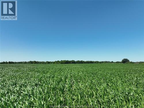 5355 Carriage Road, Middlesex Centre, ON 