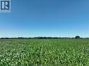 5355 Carriage Road, Middlesex Centre, ON 