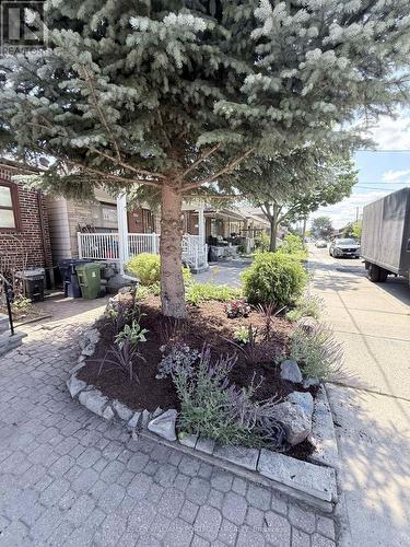 97 Livingstone Avenue, Toronto, ON - Outdoor