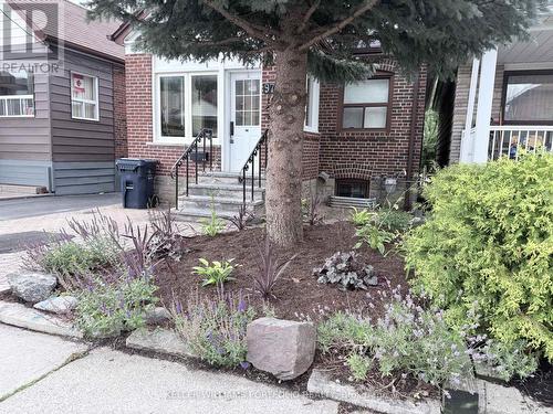 97 Livingstone Avenue, Toronto, ON - Outdoor