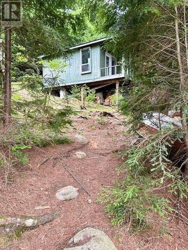 Coming up from the dock, view of bunkie - 50 Cache Lake Apl1322, South Algonquin, ON - Outdoor