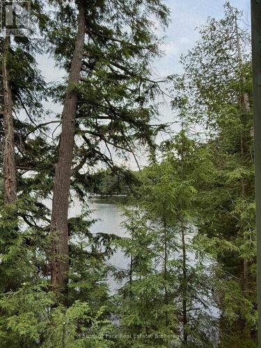 Views from the porch - 50 Cache Lake Apl1322, South Algonquin, ON - Outdoor With Body Of Water