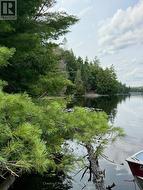 Looking west along the shore - 