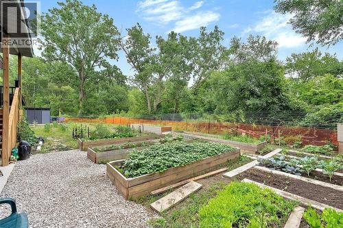 2585 Kenora Street, Windsor, ON - Outdoor