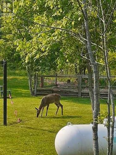 2343 Bay Estates Road N, Sheguiandah, ON - Outdoor With View
