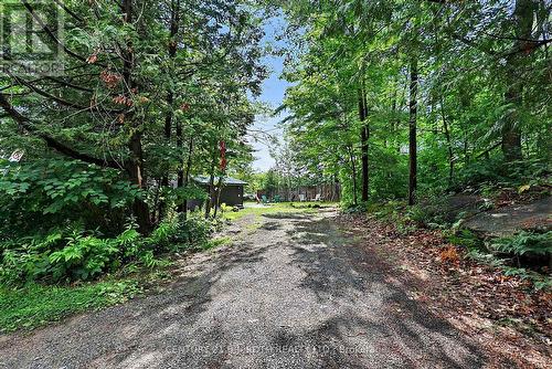 1100 Hewitt Street, Gravenhurst, ON - Outdoor