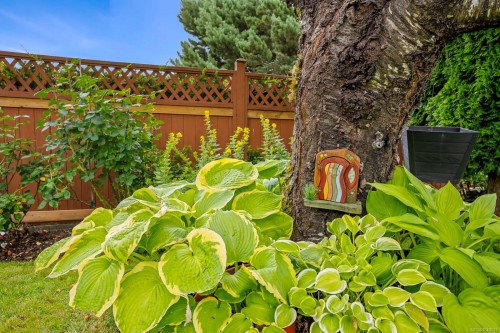 1564 Trumpeter Cres Sw, Courtenay, BC 