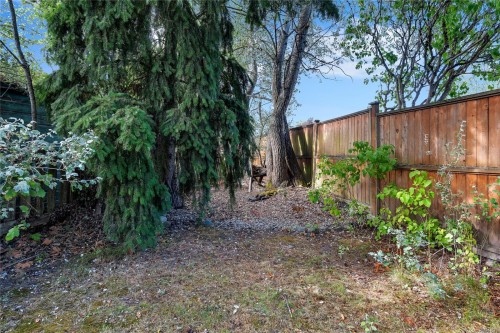 384 Burnside Rd East, Victoria, BC 