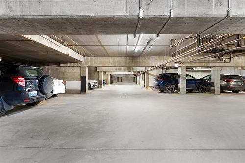 406-85 Swindon Way, Winnipeg, MB - Indoor Photo Showing Garage