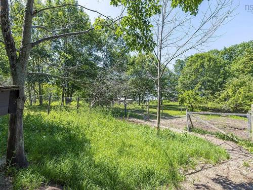 4902 Highway 1, Waterville, NS - Outdoor With View