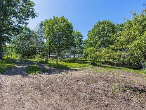 4902 Highway 1, Waterville, NS - Outdoor With View