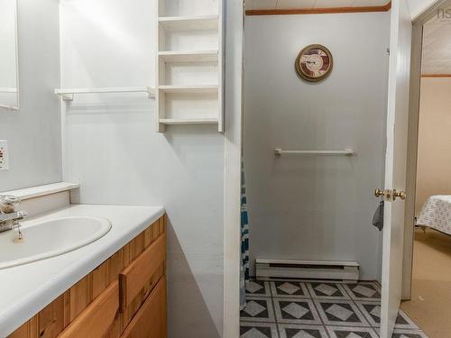 258 Trout Lake Road, West Inglisville, NS - Indoor Photo Showing Bathroom