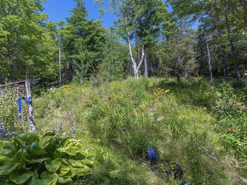 258 Trout Lake Road, West Inglisville, NS - Outdoor With View