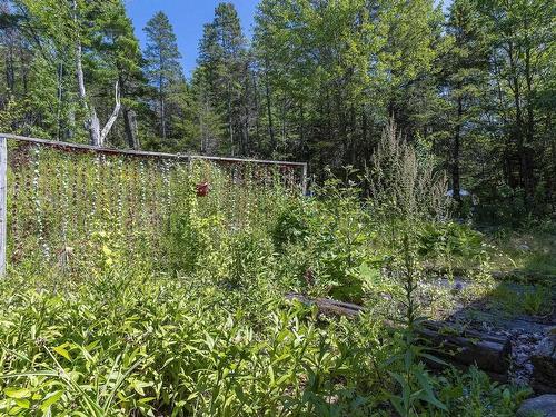 258 Trout Lake Road, West Inglisville, NS - Outdoor