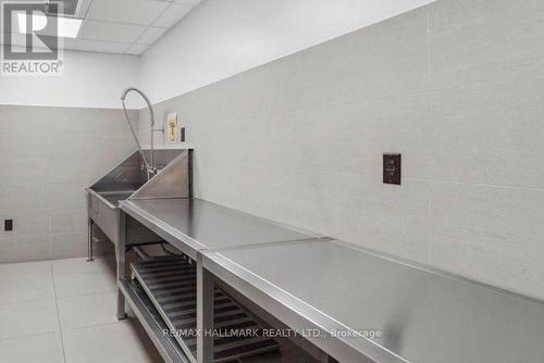 Pet Spa Station - 2908 - 85 Queens Wharf Road, Toronto, ON - Indoor