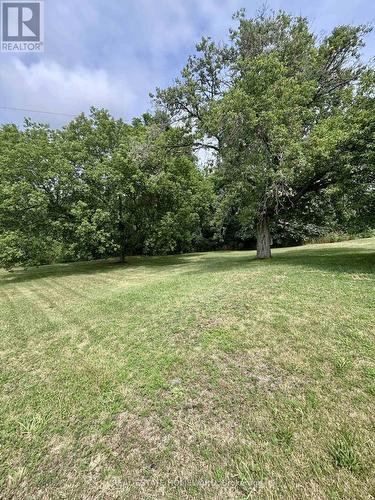 2847 County Rd 10 Road, Prince Edward County, ON - Outdoor
