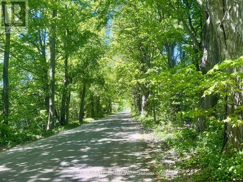 Scenic road for biking - 2847 County Rd 10 Road, Prince Edward County, ON - Outdoor With Body Of Water