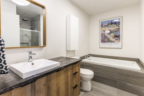 Bathroom - 2-5805 Rue De Champagnier, Brossard, QC - Indoor Photo Showing Bathroom