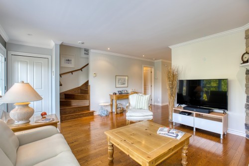 Living Room - 335 Ch. Des Sorbiers, Piedmont, QC - Indoor Photo Showing Living Room
