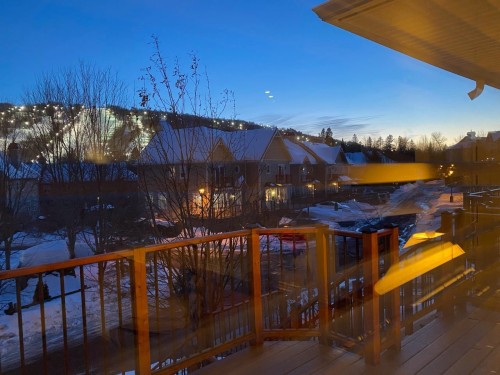 View - 335 Ch. Des Sorbiers, Piedmont, QC - Outdoor
