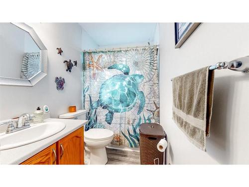 43 Dawe'S Place, Conception Bay Sout, NL - Indoor Photo Showing Bathroom