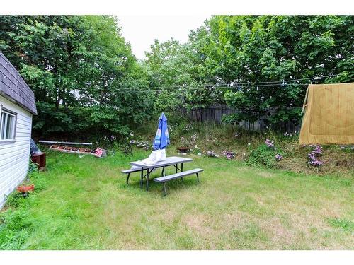 43 Dawe'S Place, Conception Bay Sout, NL - Outdoor