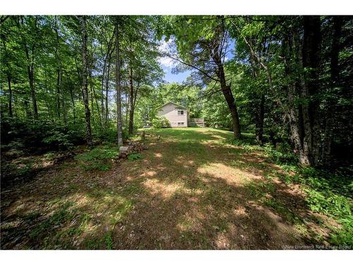 51 Carr St, Geary, NB 