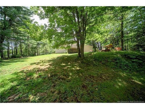 51 Carr St, Geary, NB 