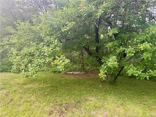 1567 Beaverbrook Rd, Beaver Brook, NB 