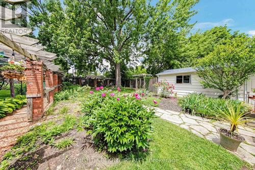 Backyard - 74 Mccaul Street, Brampton, ON - Outdoor