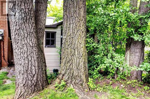 2694 Truscott Drive, Mississauga, ON - Outdoor